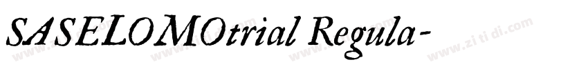 SASELOMOtrial Regula字体转换